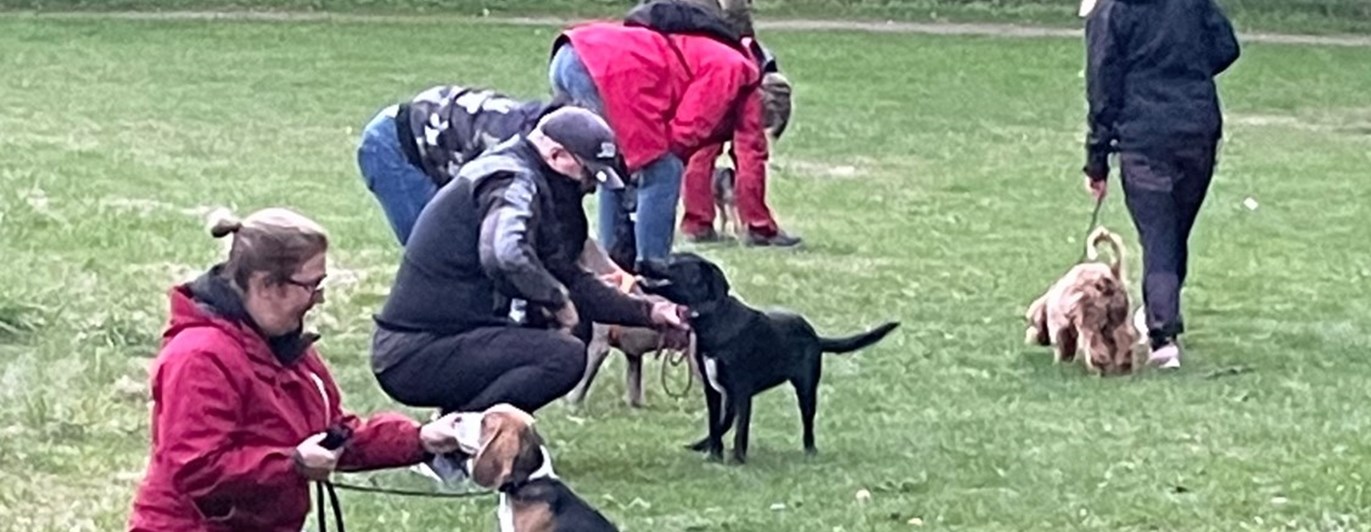 Valpkurs i Albäcksskogen