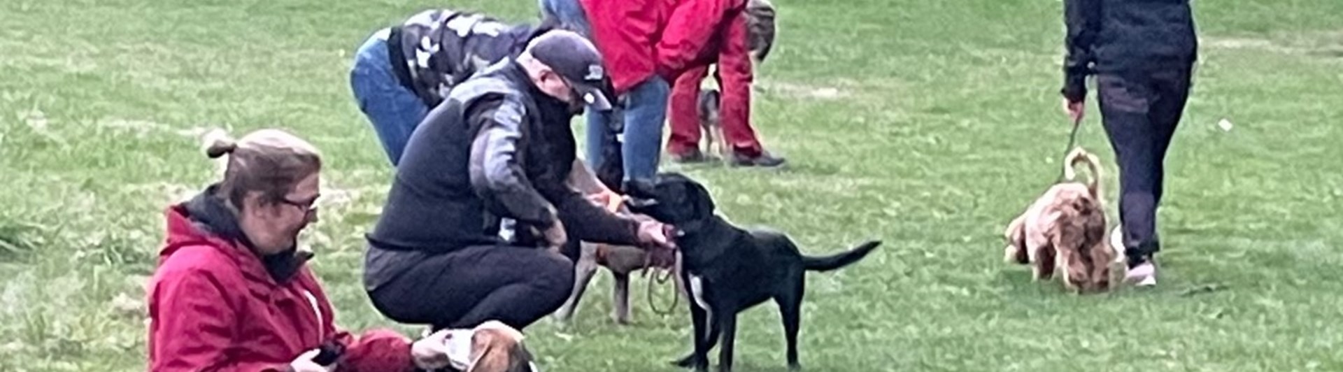 Valpkurs i Albäcksskogen