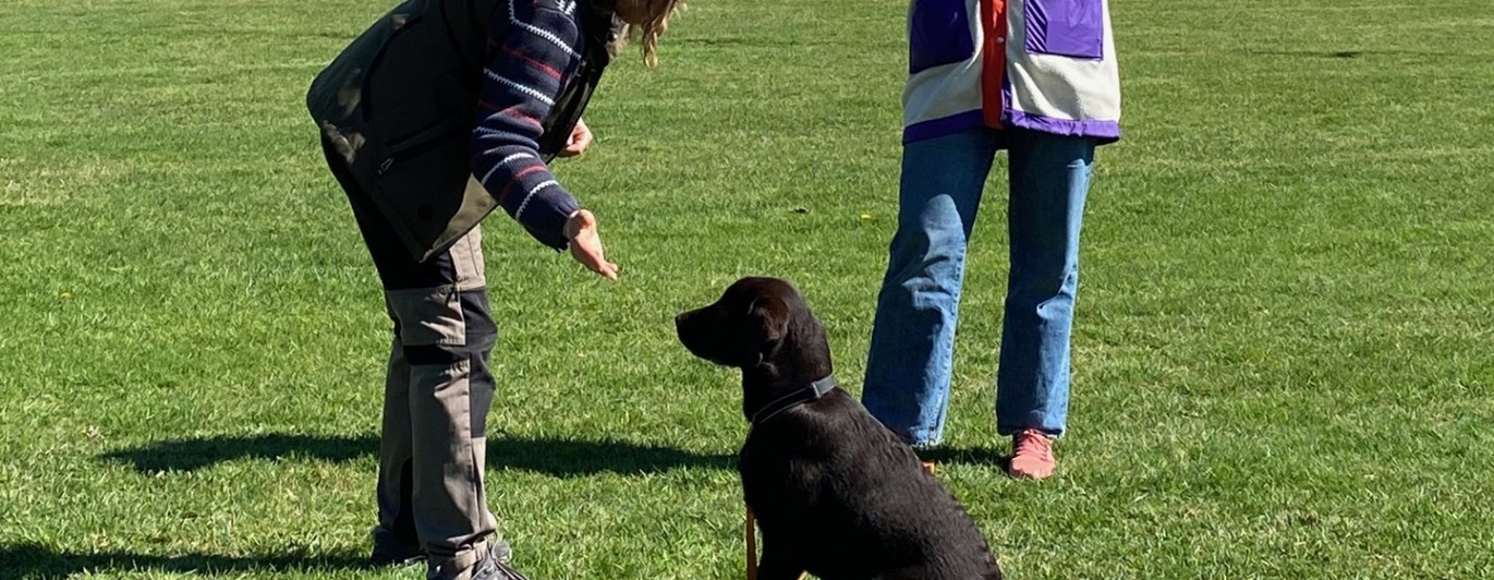 träning omvänt lockande