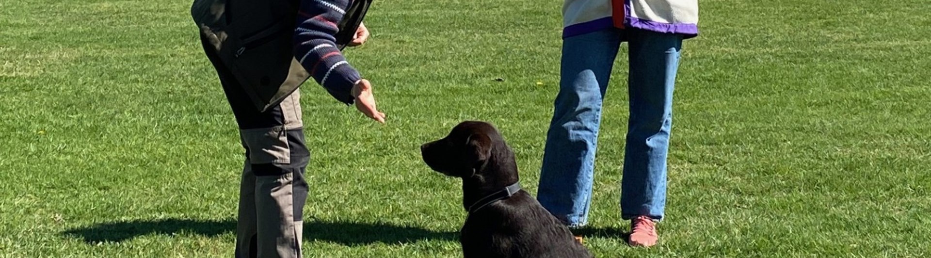 träning omvänt lockande