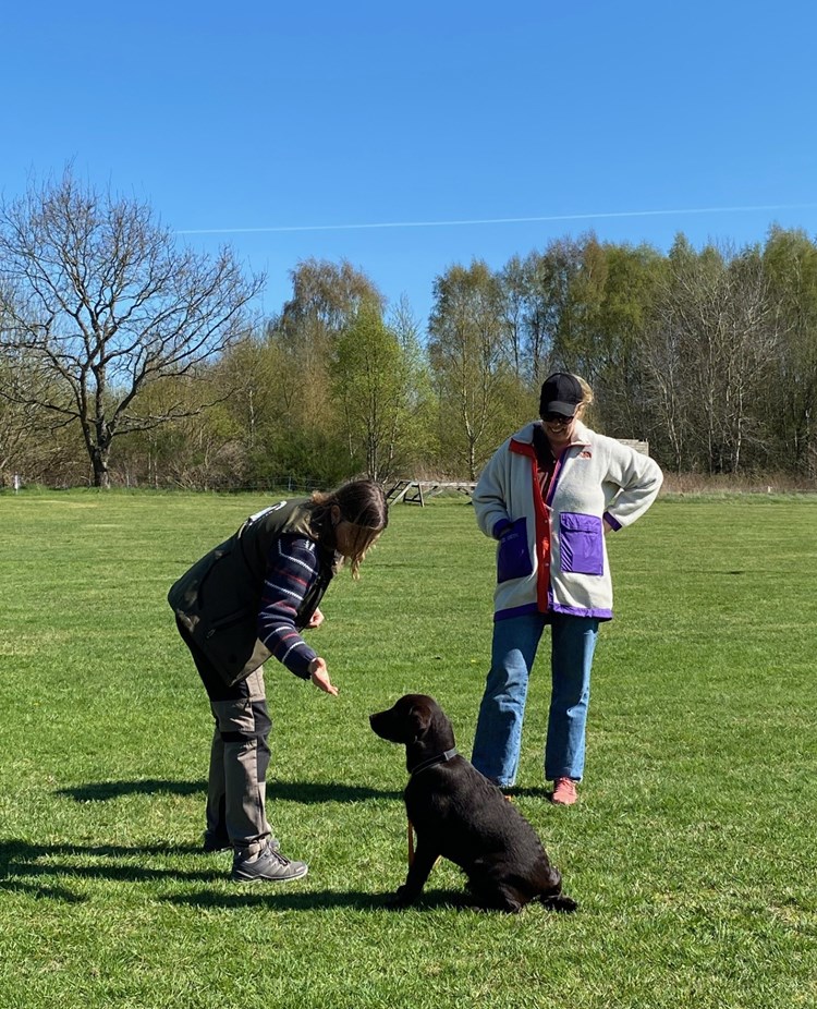 träning omvänt lockande