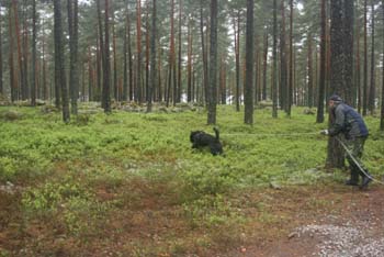 Spårövning