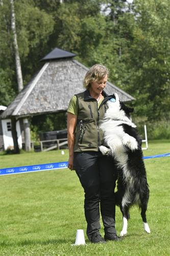 Camilla tränar tillsammans med sin bordercollie.