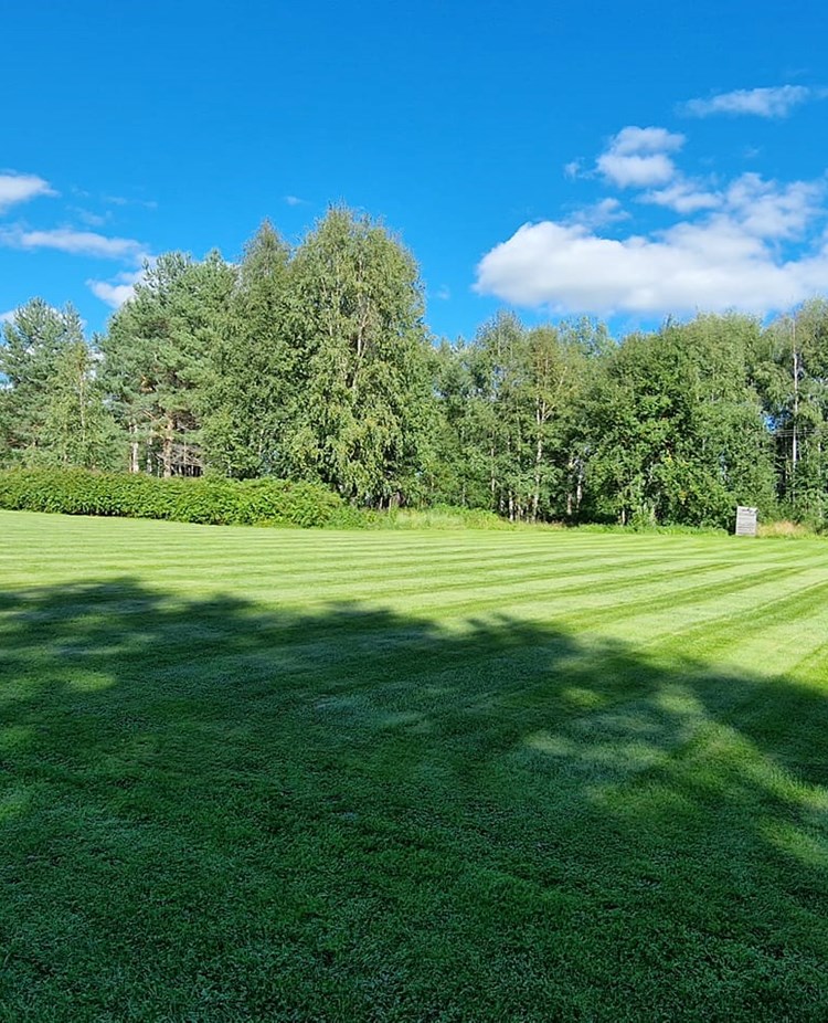 Bild på lydnadsplan