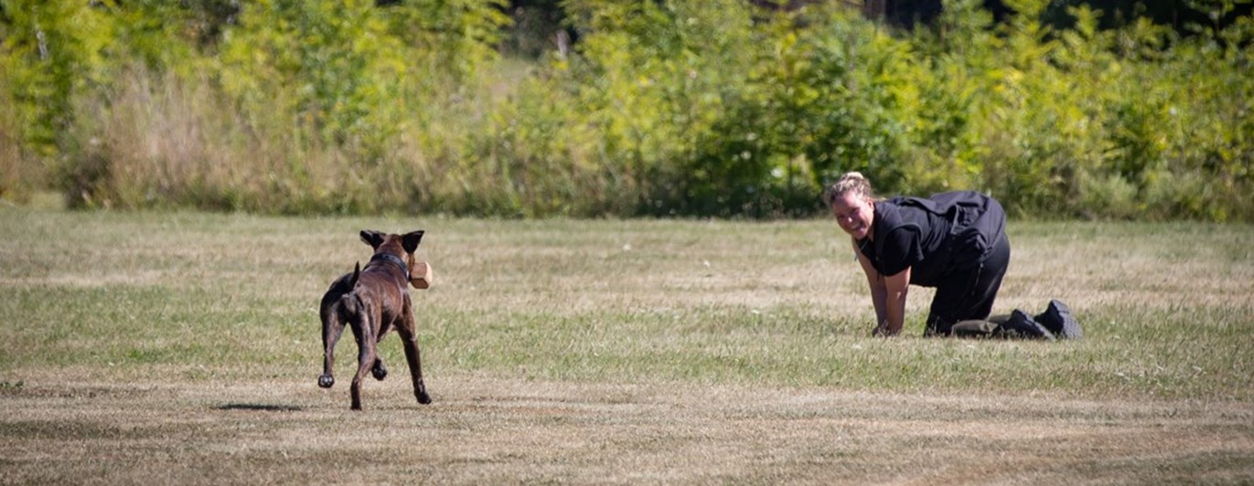 Boxer Inkallning Med Apport