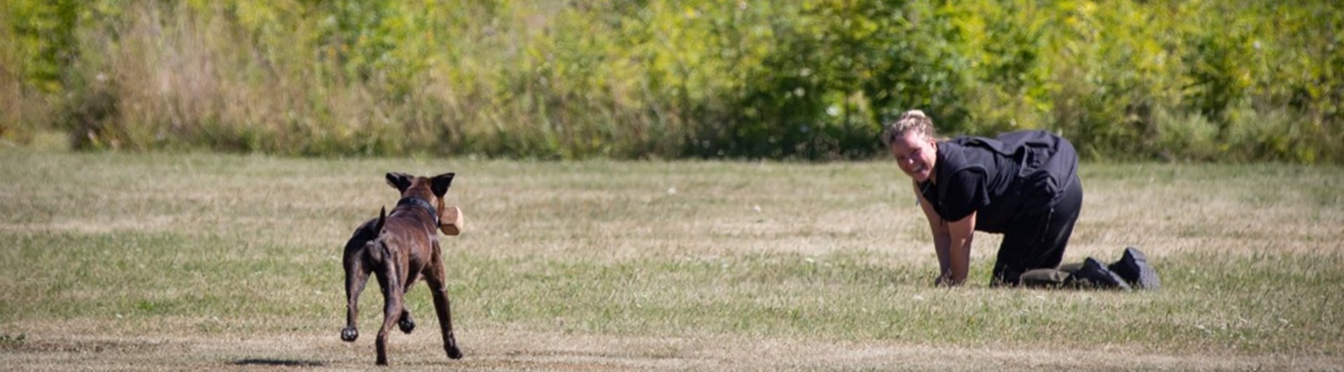 Boxer Inkallning Med Apport