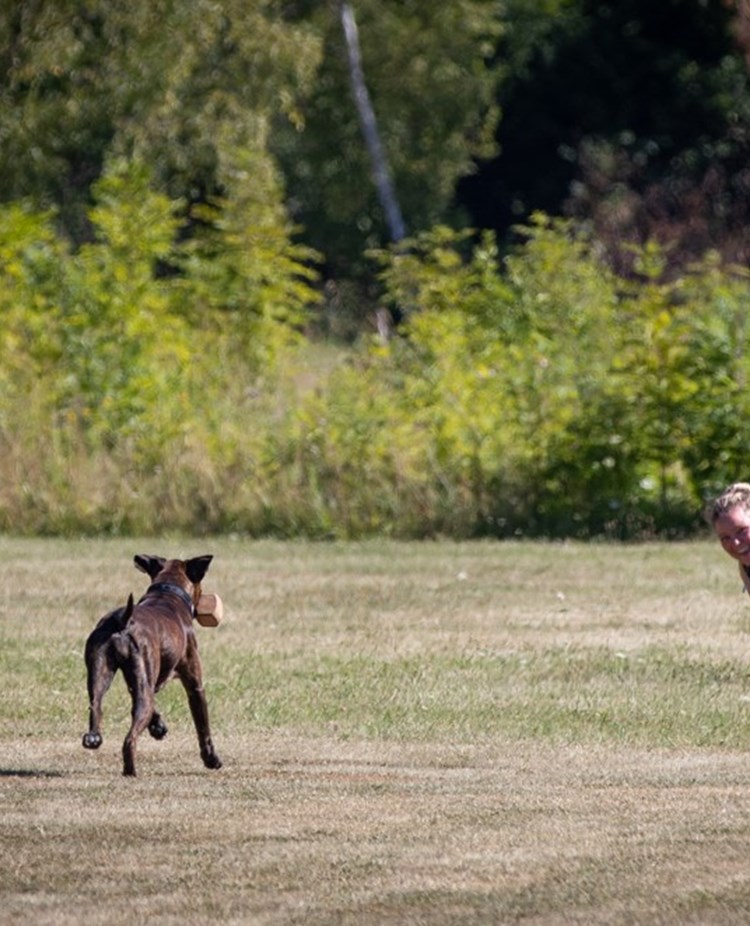 Boxer Inkallning Med Apport