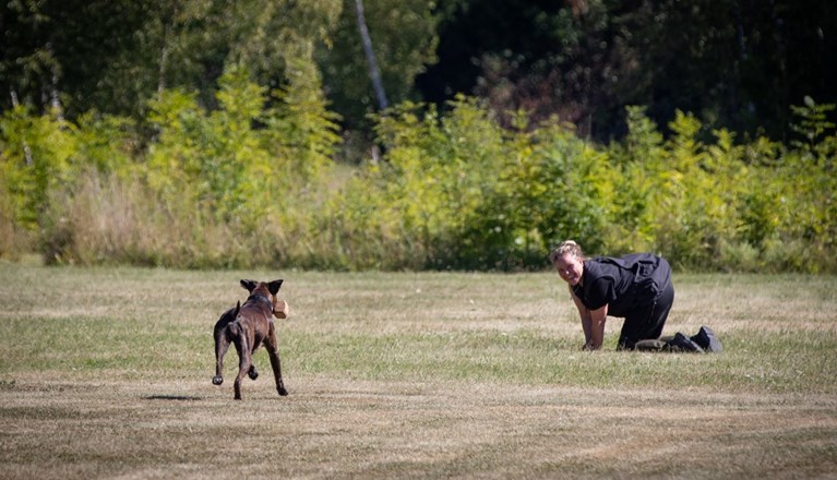 Boxer Inkallning Med Apport