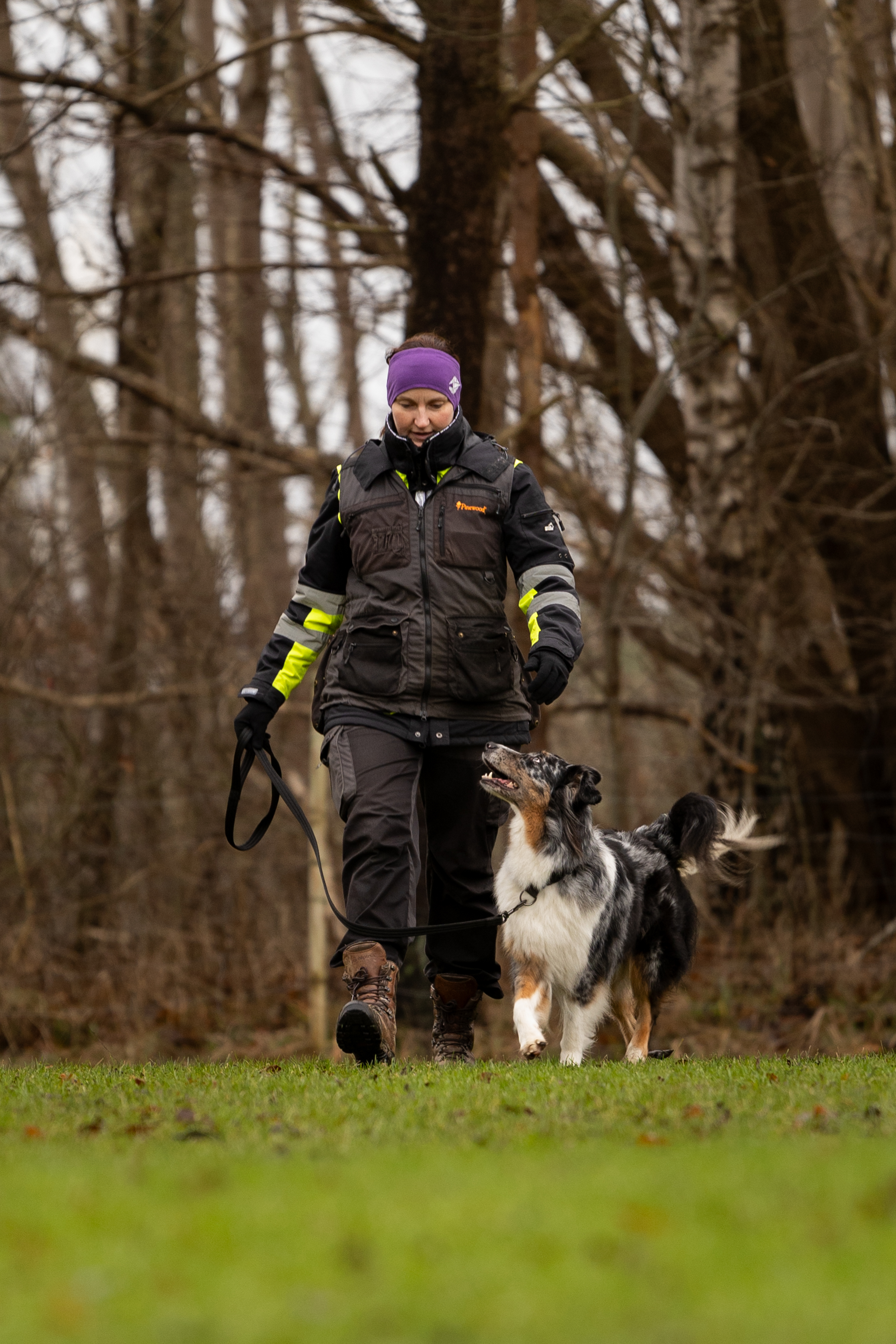 Hund som går fortgående och tittar på sin förare