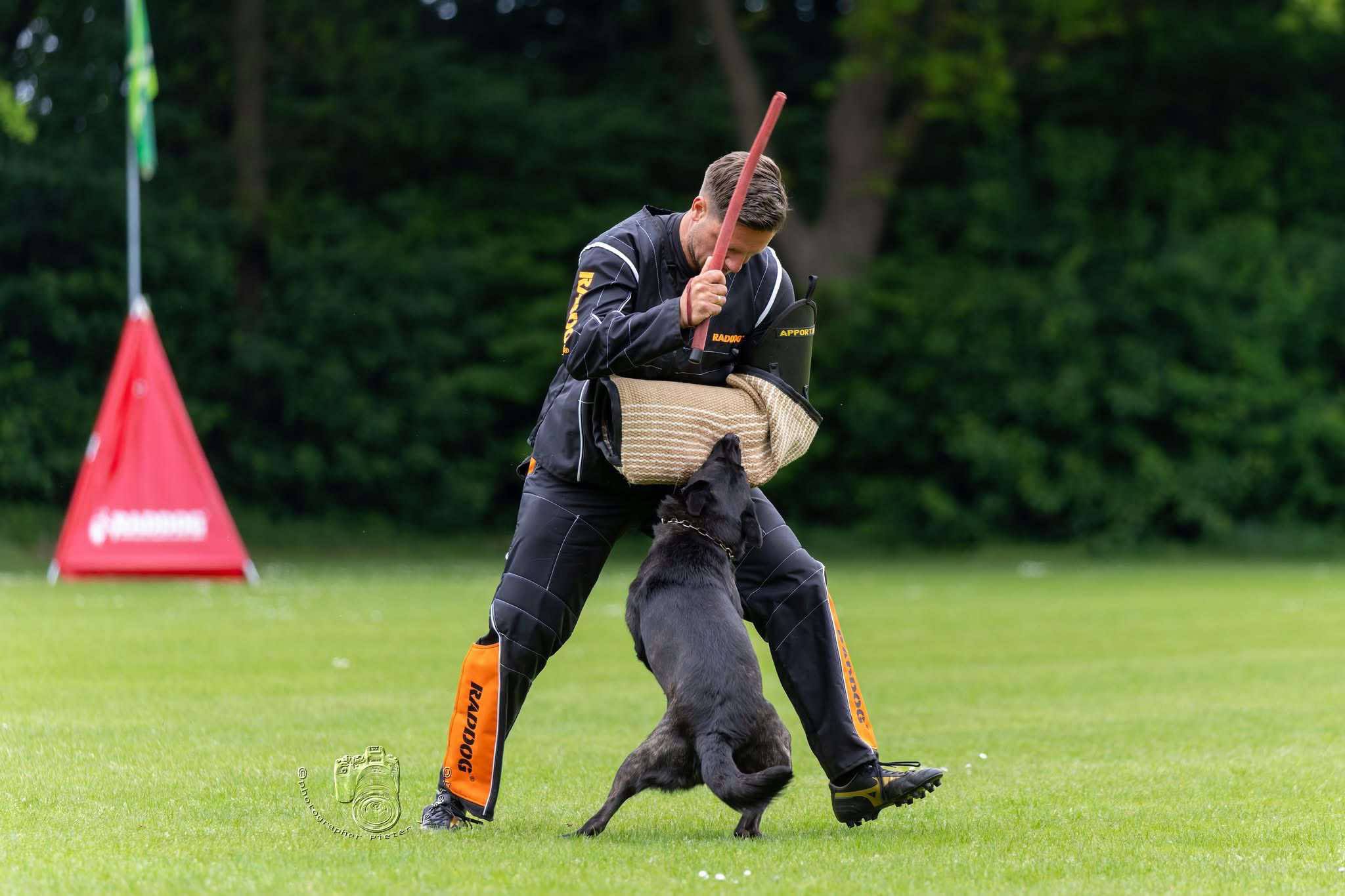 Hunden gör sig tung i angreppet