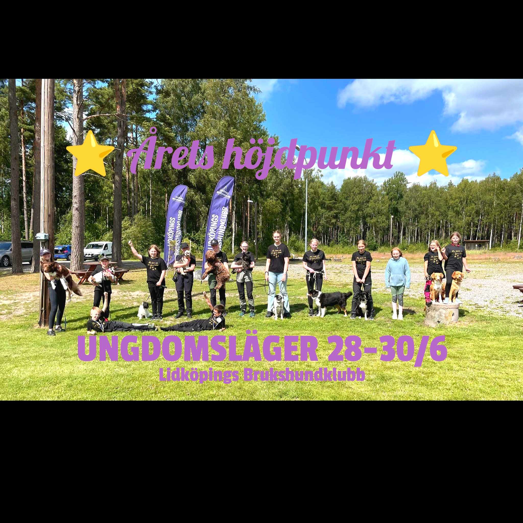 bild på ungdomar med hundar
