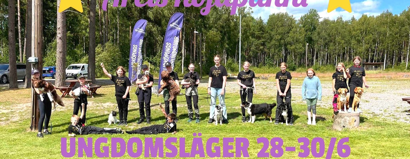 bild på ungdomar med hundar