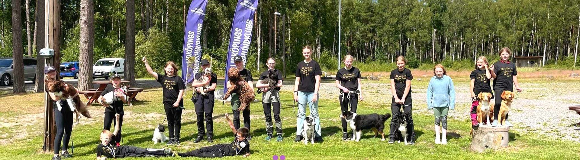 bild på ungdomar med hundar