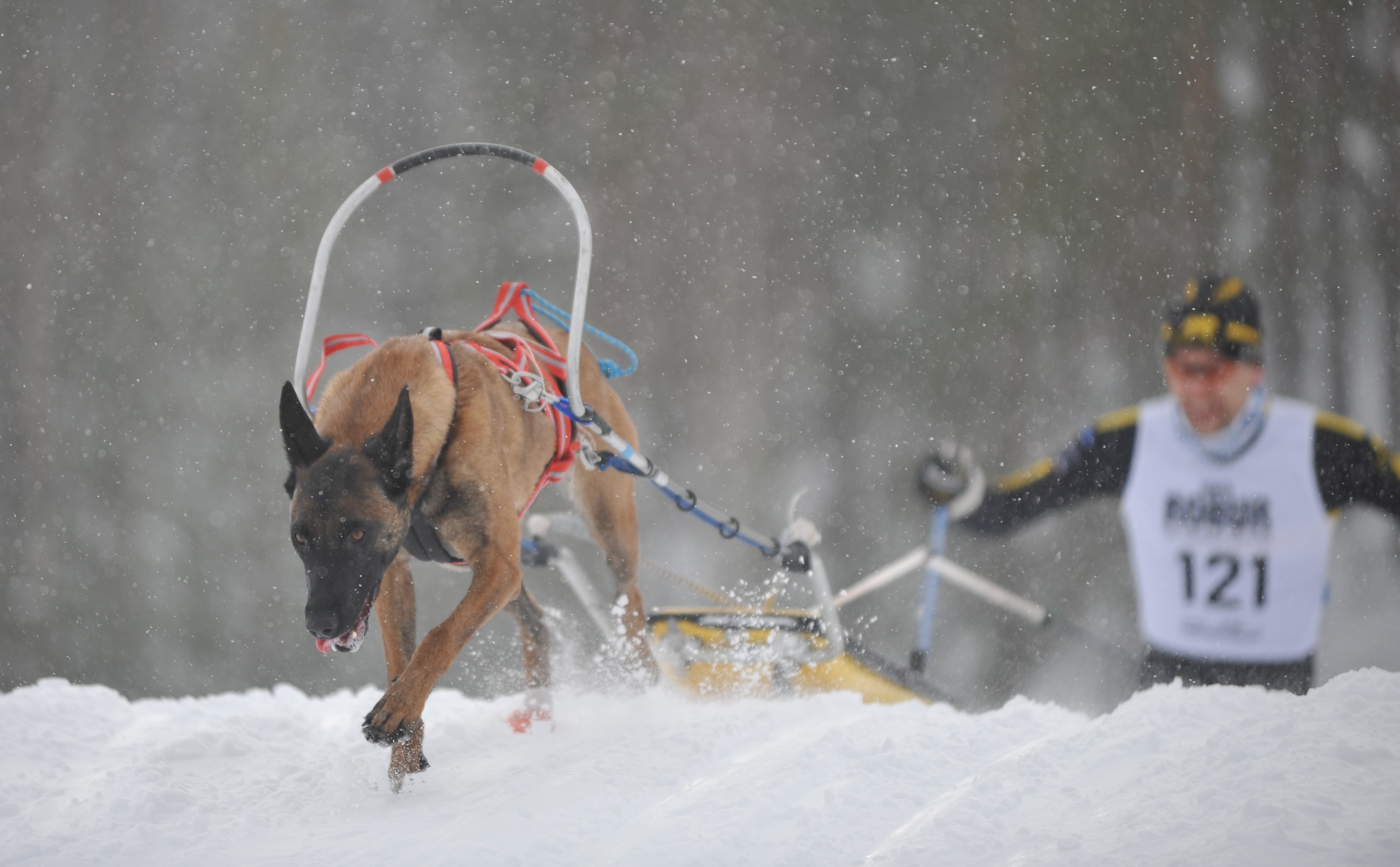 Bild regelbok drag 2023 