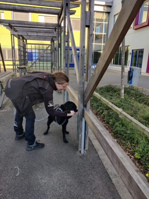 En kvinna som söker med sin svarta hund.