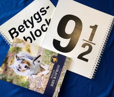 Domarblock och bruksregler