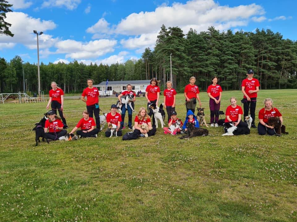 lidköpings hundungdoms bk