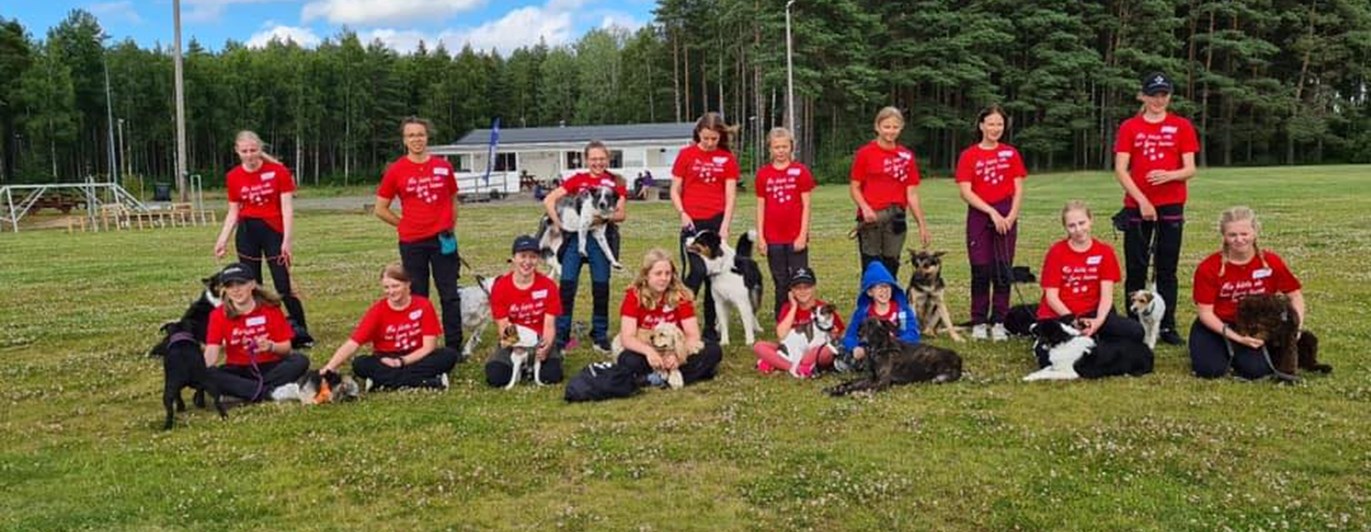 lidköpings hundungdoms bk