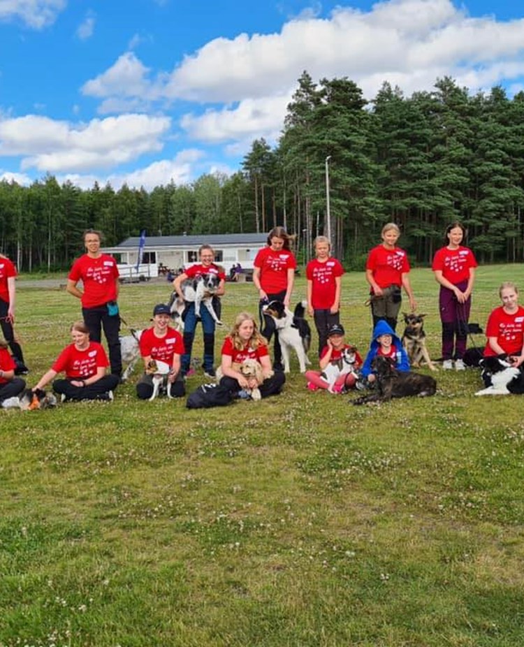 lidköpings hundungdoms bk