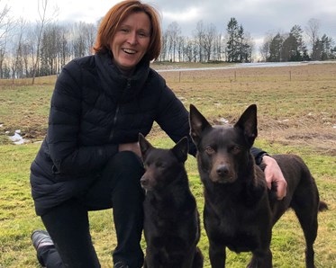Christina med kelpie-hundarna Pax och Flexa.