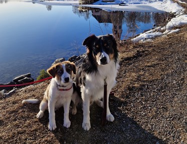 Arjeplog