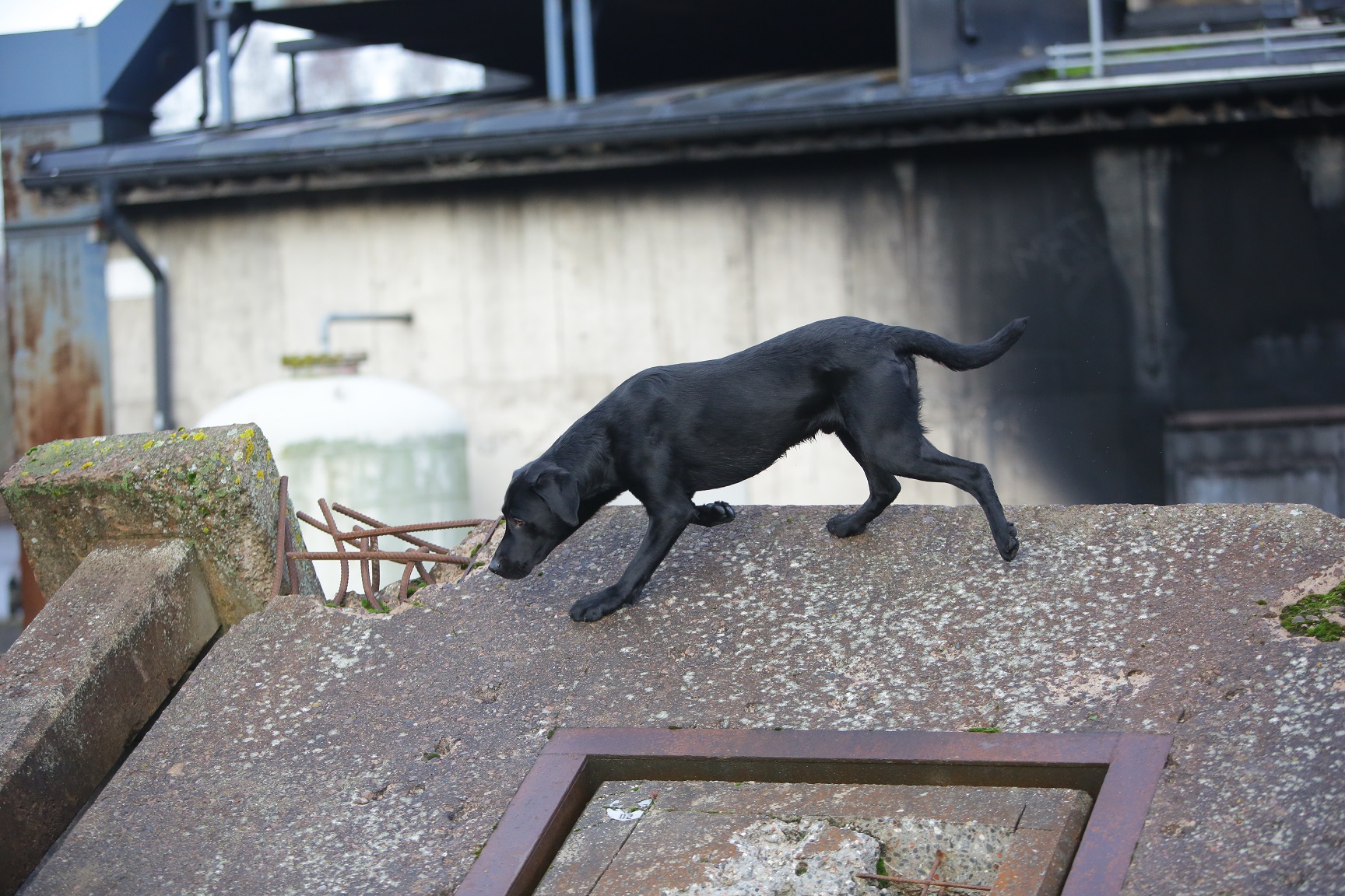 Fotograf: Christian Björses