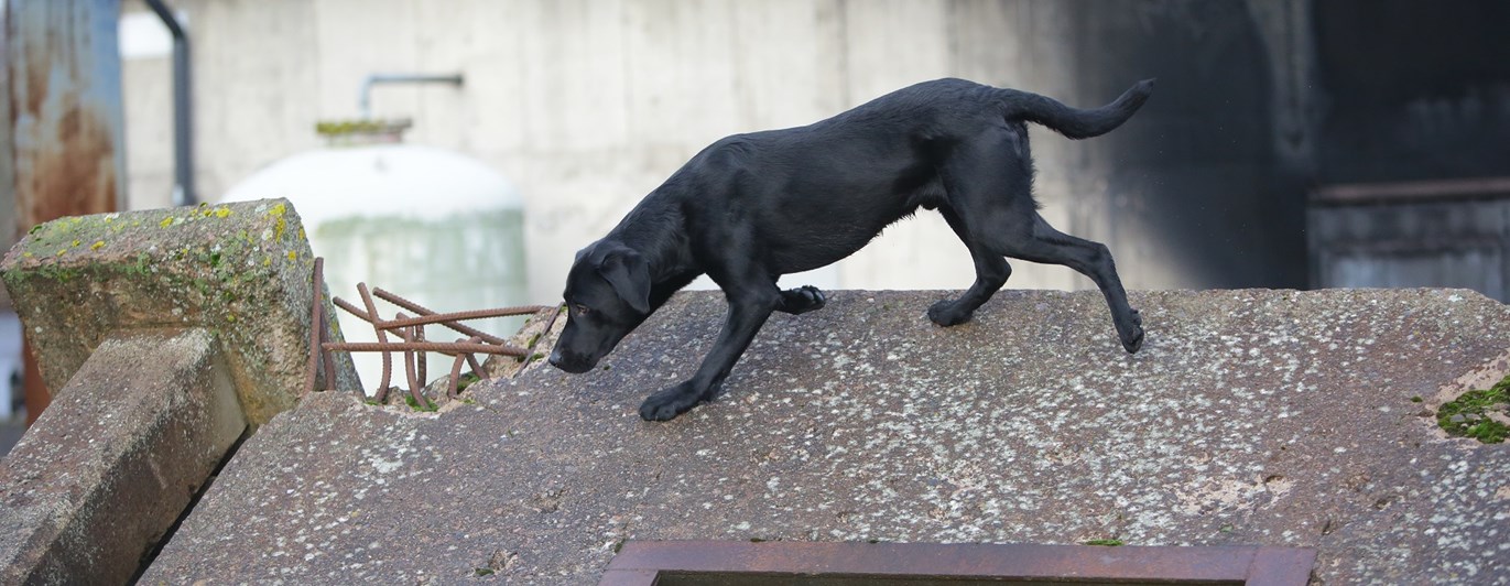 Fotograf: Christian Björses