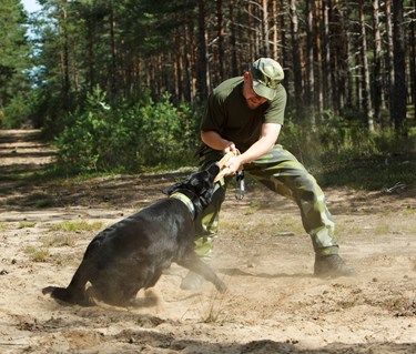Fotograf: Magnus Fröderberg