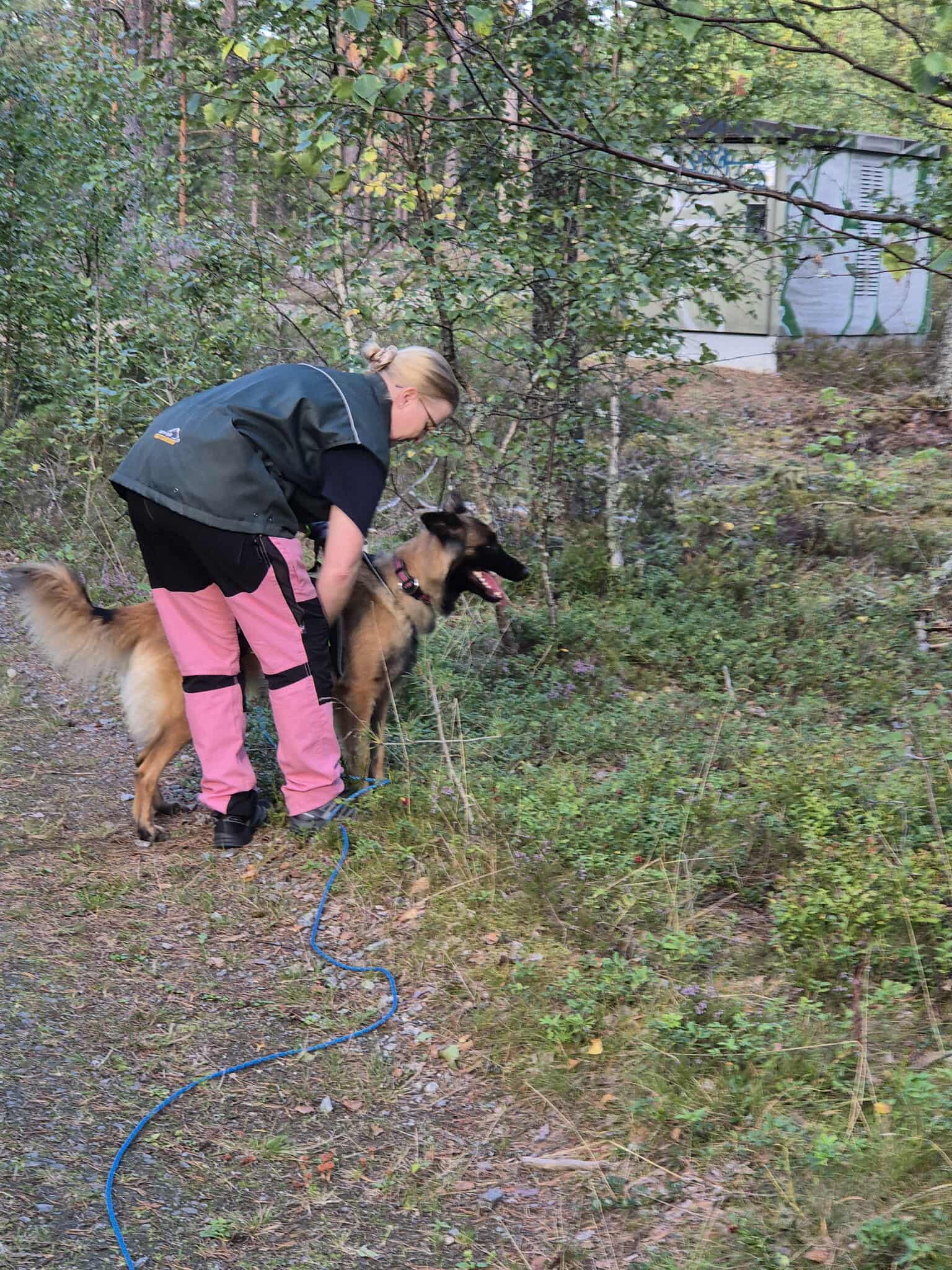 Jenny skickar uppletande