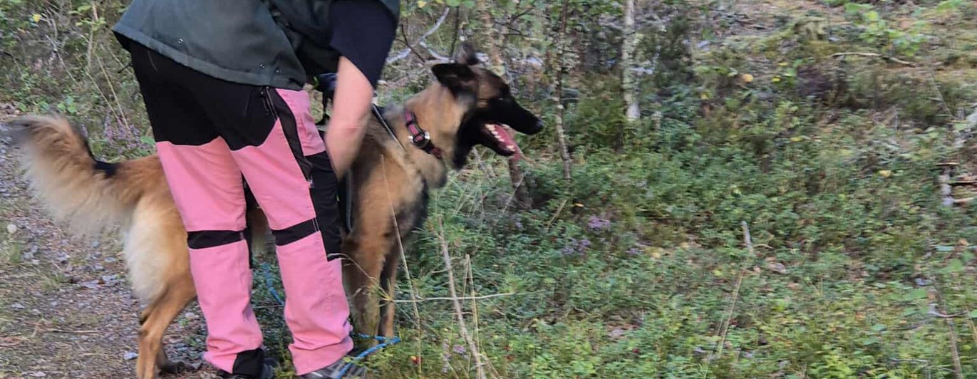 Jenny skickar uppletande