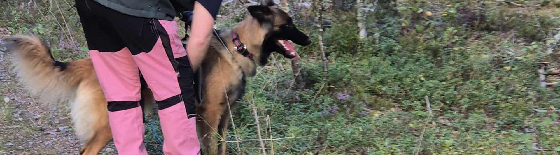 Jenny skickar uppletande