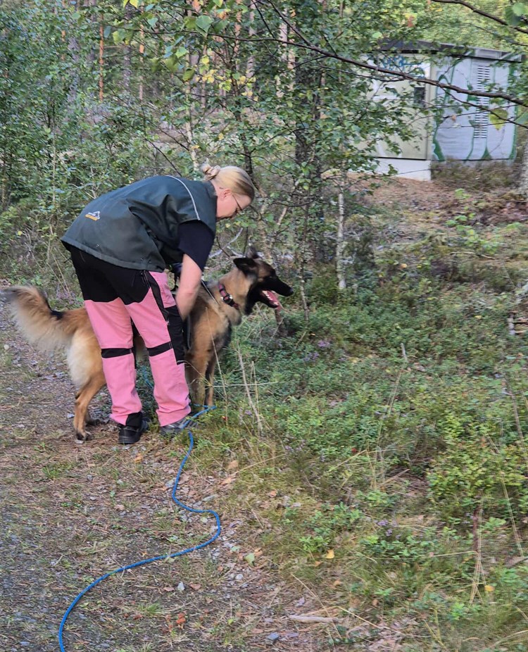 Jenny skickar uppletande
