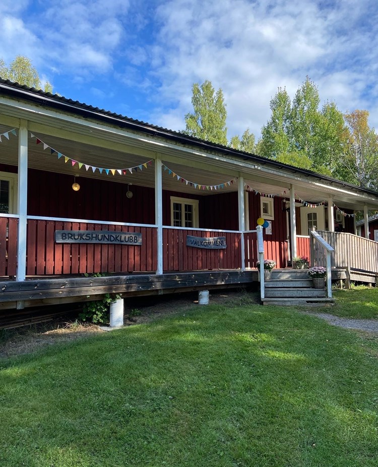 Ockelbo Brukshundklubbs klubbstuga. Bilden är tagen under Öppet hus i september-22, därför hänger färgglada girlanger och ballonger i taket.