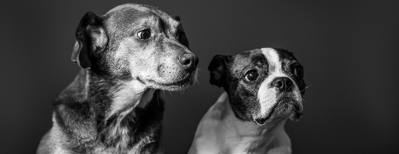 Foto: Megs Harrison - Unsplash