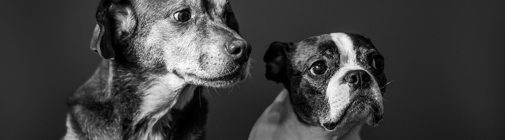 Foto: Megs Harrison - Unsplash