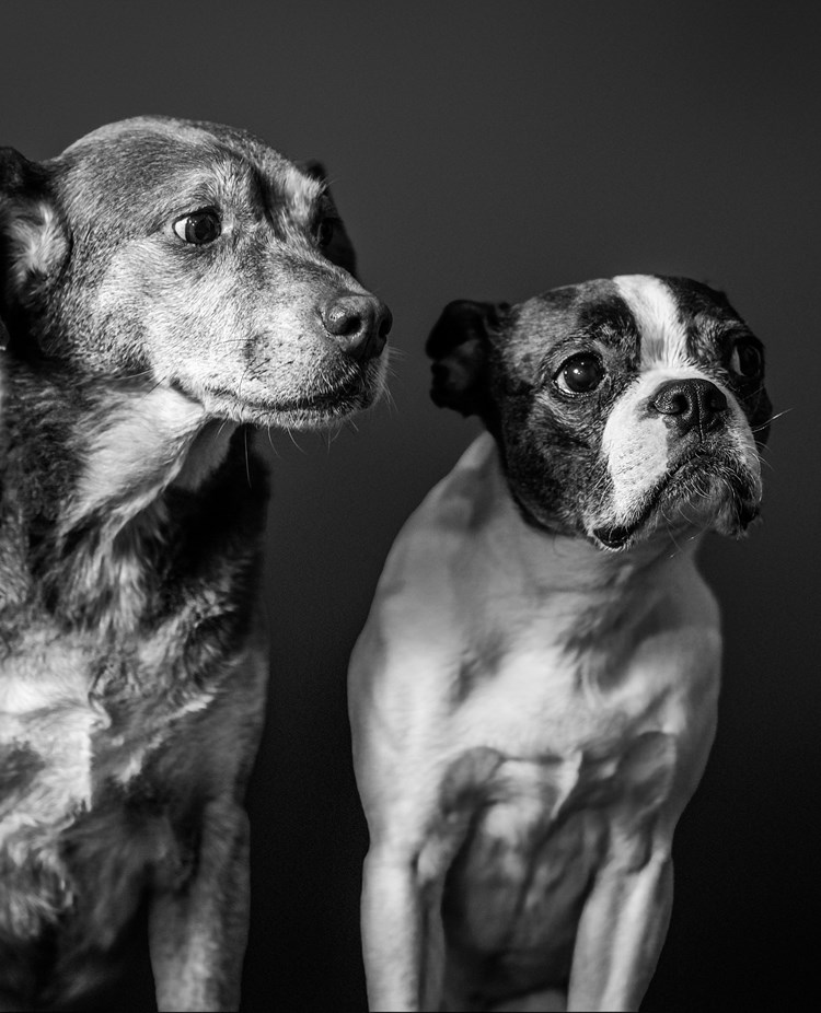 Foto: Megs Harrison - Unsplash