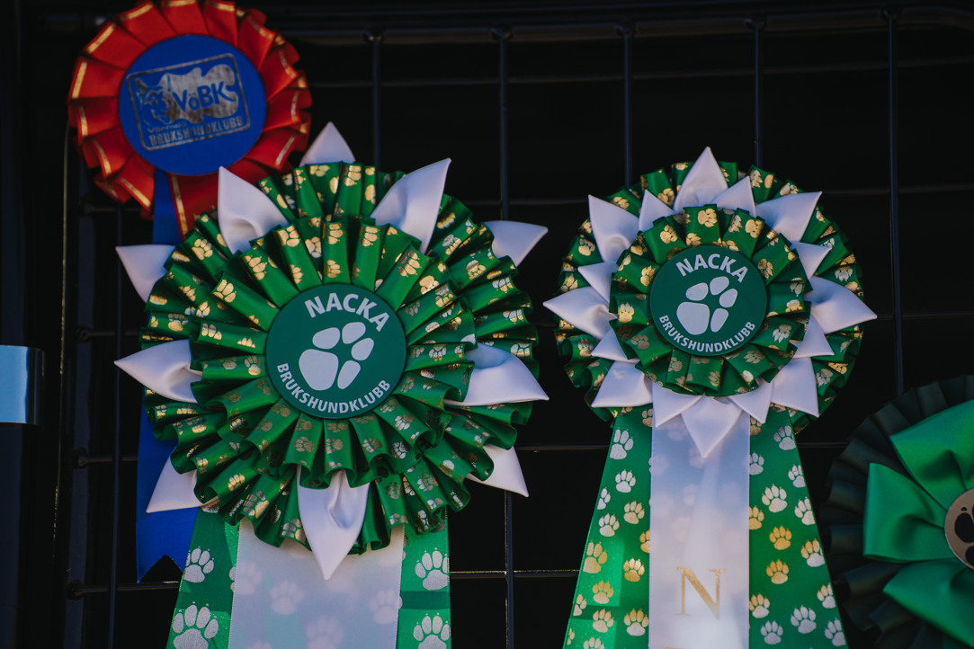 Bild på pris-rosetter