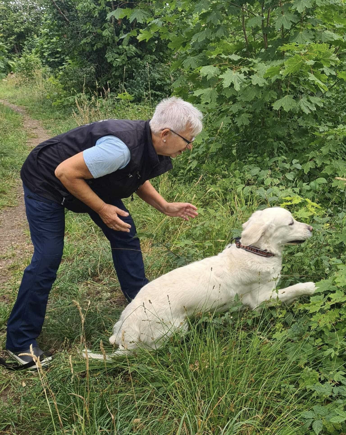 Lotta och Lillie peronsök