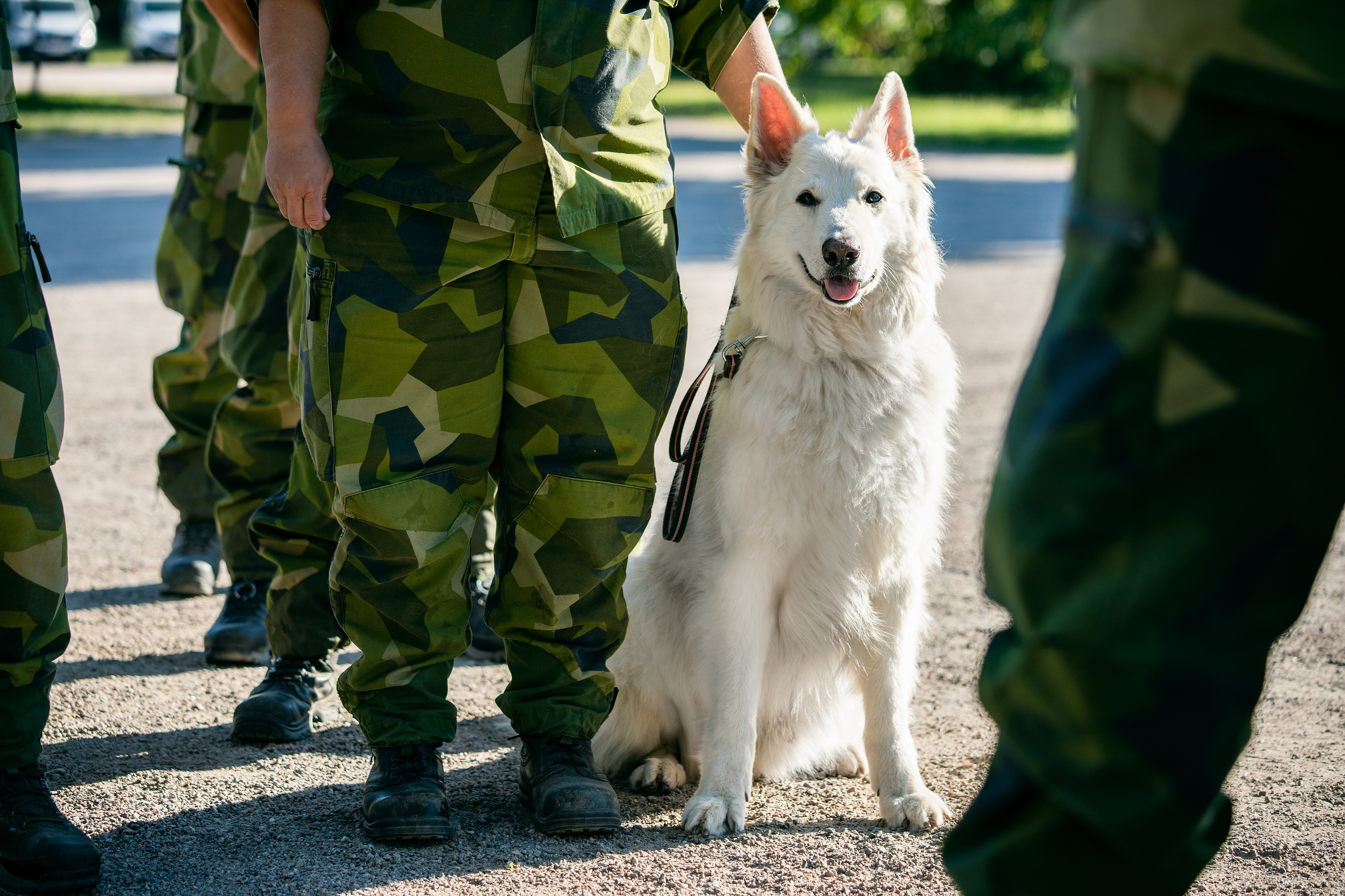 Fotograf Magnus Fröderberg