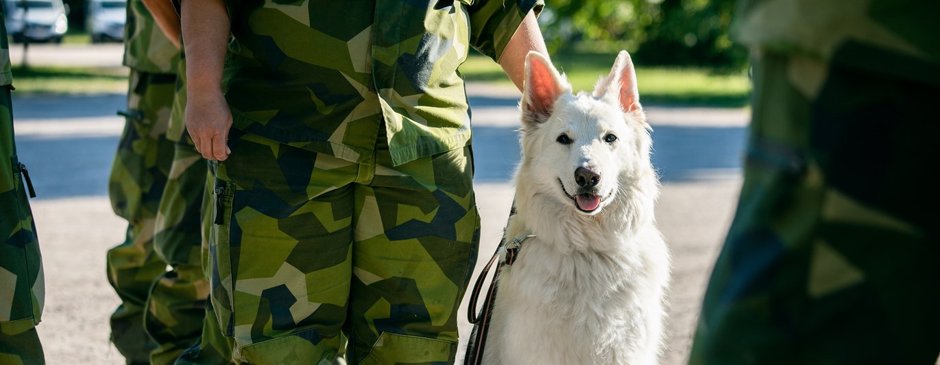 Fotograf Magnus Fröderberg