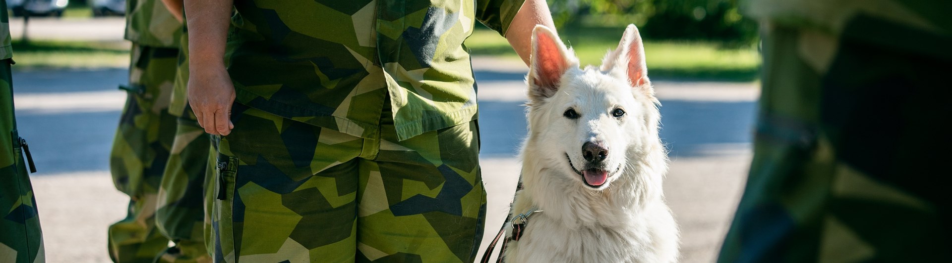 Fotograf Magnus Fröderberg