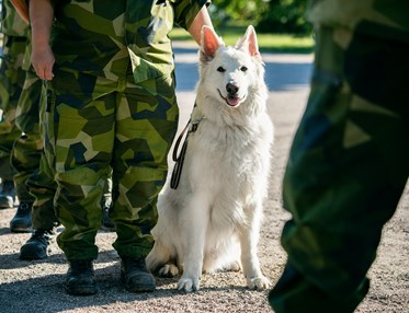 Fotograf Magnus Fröderberg