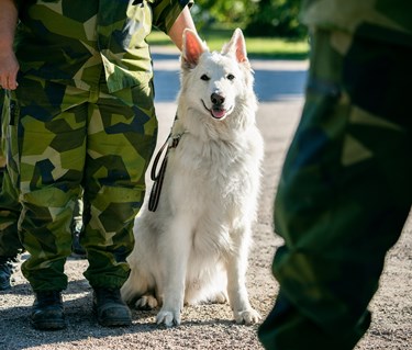 Fotograf Magnus Fröderberg