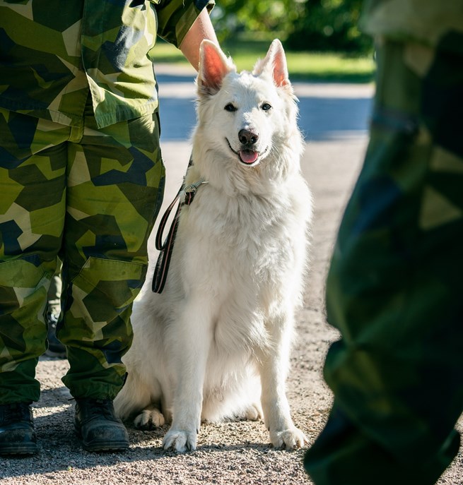 Fotograf Magnus Fröderberg