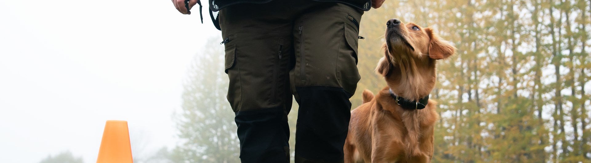 Golden retrievern Önska går på vänster sida om sin förare förbi rallyskylten 8:ans frestelser. Olika saker är utplacerade på marken.
