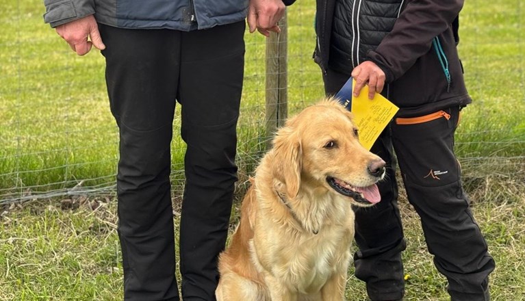 Årets Hund 2025 Jönköpings Brukshundklubb