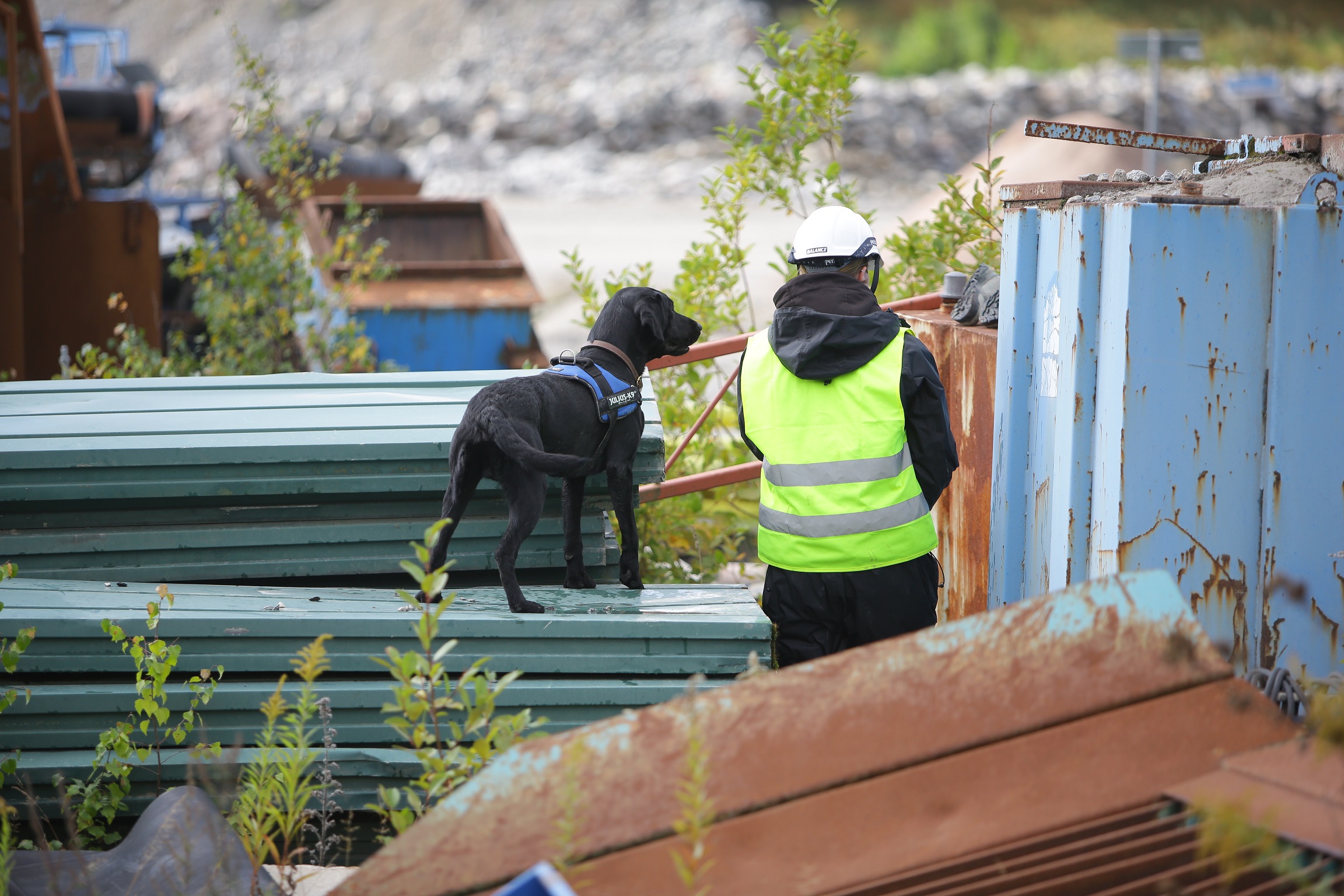 Fotograf: Christian Björses