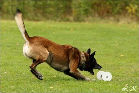 Brukslydnad malle ska greppa tungapport