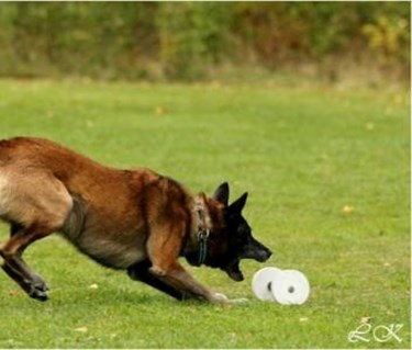 Brukslydnad malle ska greppa tungapport