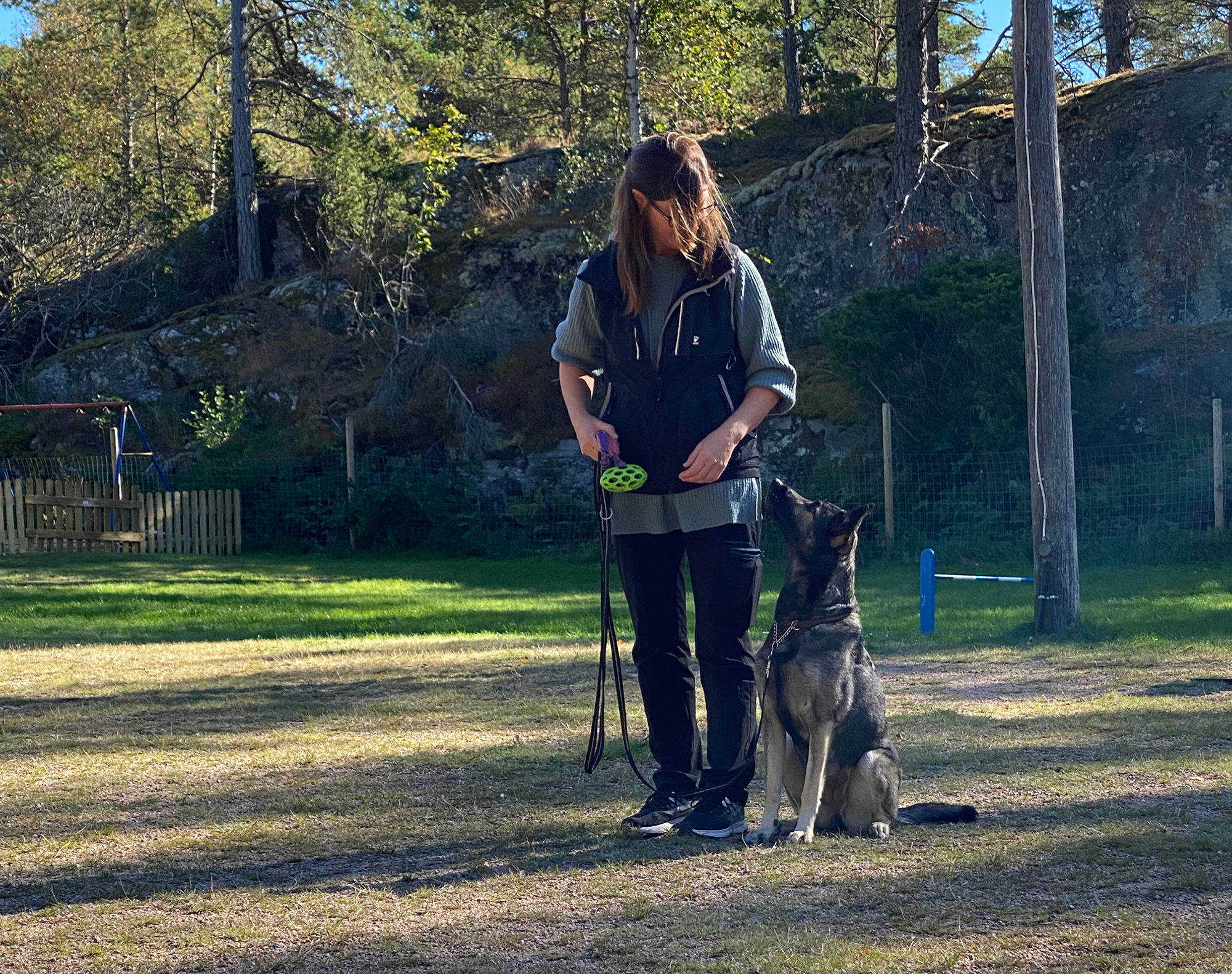 Schäfern Aika sitter fint vid sin förares vänstra sida. Föraren har en leksak i handen
